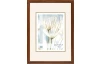 Fotorámeček Giulia 21x29,7 cm, přírodní tmavá