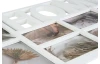 Fotorám pro 10 ks foto Home 72x37 cm, bílý