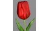 Umělá květina Tulipán 20 cm, červená