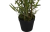 Umělá rostlina Africký bambus, 90 cm