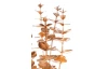 Umělá květina Vánoční eukalyptus 35 cm, zlatý