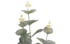 Umělá květina Eukalyptus větev, 65 cm