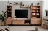 TV skříňka Korsika, dub artisan