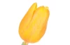 Umělá květina Tulipán 43 cm, žlutá