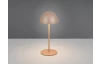 Nabíjecí LED stolní lampička Ortiz, coffee