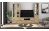 TV skříňka Carlos, dub artisan, šířka 140 cm